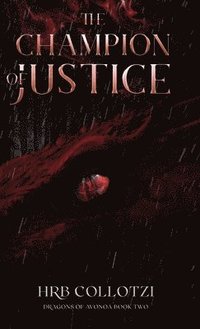 bokomslag The Champion of Justice