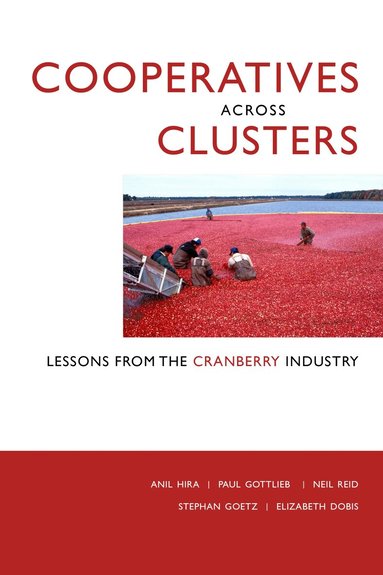 Anil Hira, Paul Gottlieb, Neil Reid, Stephan Goetz, Elizabeth Dobis - Cooperatives Across Clusters, Häftad