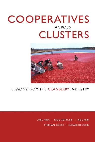 bokomslag Cooperatives Across Clusters
