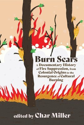 bokomslag Burn Scars