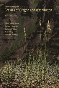 bokomslag Field Guide to the Grasses of Oregon and Washington