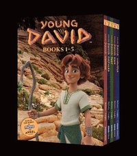 bokomslag Young David Series Box Set