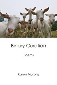 bokomslag Binary Curation