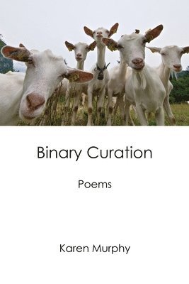 bokomslag Binary Curation