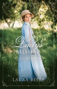 bokomslag Lady's Mishap