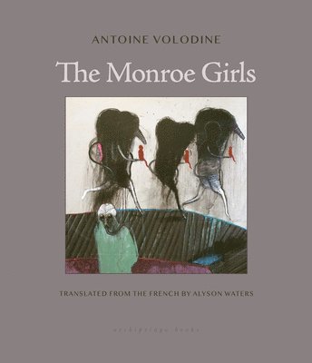 bokomslag The Monroe Girls