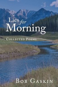 bokomslag Lies for Morning