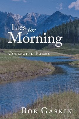 bokomslag Lies for Morning