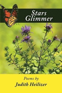 bokomslag Stars Glimmer