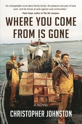 Christopher Johnston - Where You Come From is Gone, Häftad
