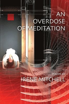 Irene Mitchell - Overdose of Meditation, Häftad. Tillgänglighet: Lägg i varukorg
