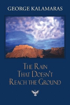 bokomslag Rain That Doesn't Reach The Ground