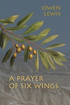 bokomslag A Prayer of Six Wings