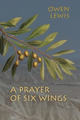 bokomslag Prayer of Six Wings