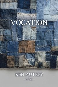 bokomslag Vocation