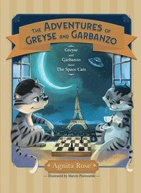 bokomslag Greyse and Garbanzo Meet the Space Cats