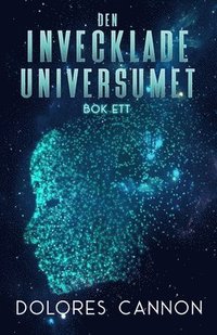 bokomslag Den Invecklade Universumet Bok Ett