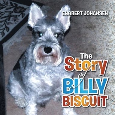 bokomslag The Story of Billy Biscuit