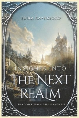 bokomslag Insights into the Next Realm