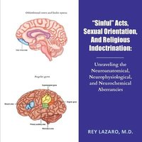 bokomslag Sinful Acts, Sexual Orientation, and Religious Indoctrination