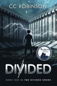 bokomslag Divided: A Dystopian Adventure