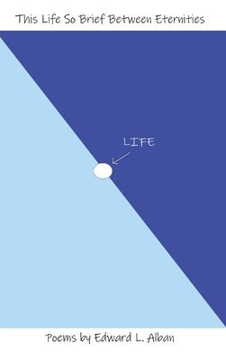 bokomslag This Life So Brief Between Eternities
