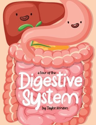 A Tour Of The Digestive System 1