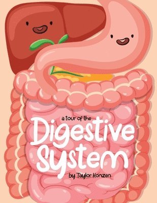 Tour Of The Digestive System