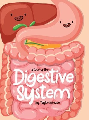 A Tour Of The Digestive System 1