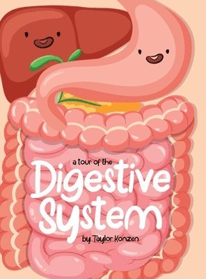 Tour Of The Digestive System