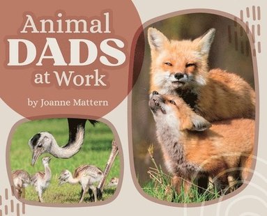 bokomslag Animal Dads at Work