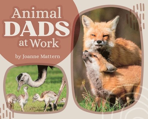 Animal Dads at Work