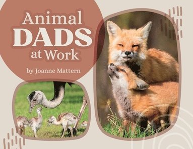bokomslag Animal Dads at Work