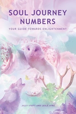 Soul Journey Numbers 1