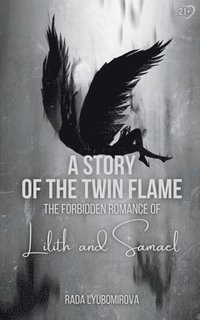 bokomslag Story of the Twin Flame