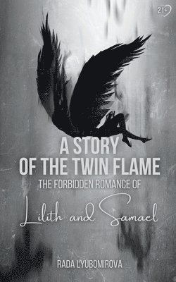 bokomslag Story of the Twin Flame