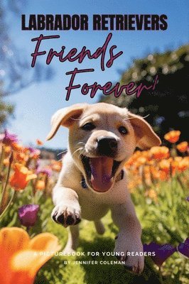 Labrador Retrievers Friends Forever 1