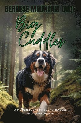 Bernese Mountain Dogs Big Cuddles 1