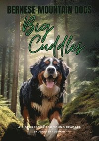 bokomslag Bernese Mountain Dogs Big Cuddles