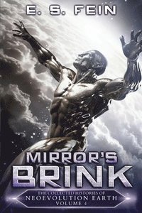 bokomslag Mirror's Brink