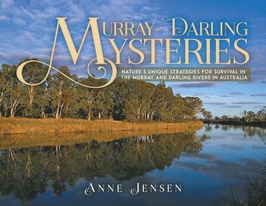 Anne Jensen - Murray-Darling Mysteries, Häftad