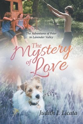 The Mystery of Love 1