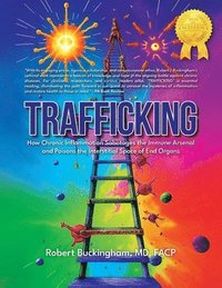 bokomslag Trafficking