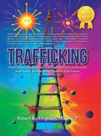 bokomslag Trafficking