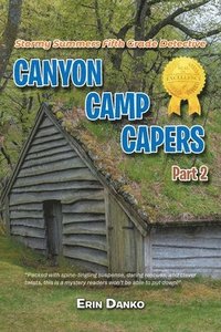 bokomslag Stormy Summers Fifth Grade Detective: Canyon Camp Capers Part 2