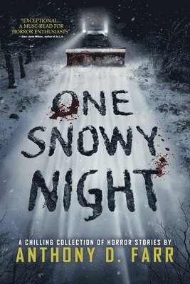 One Snowy Night 1