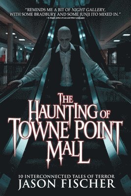 bokomslag The Haunting of Towne Point Mall