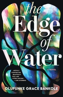 Olufunke Grace Bankole - The Edge of Water, Häftad