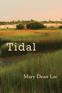 bokomslag Tidal