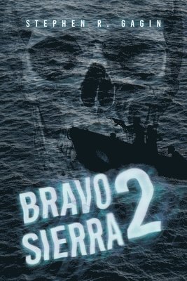 Stephen R Gagin - Bravo 2 Sierra, Häftad